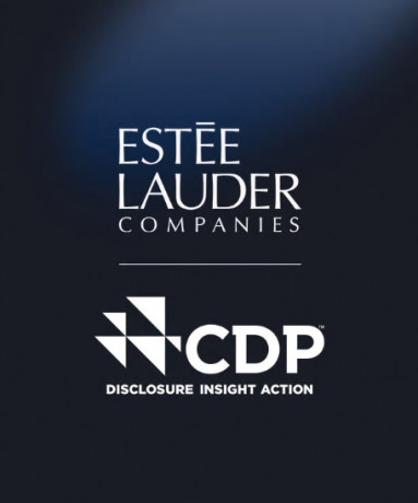 Estée Lauder ottiene un punteggio A-  nel Cdp Climate Rankings 2019
