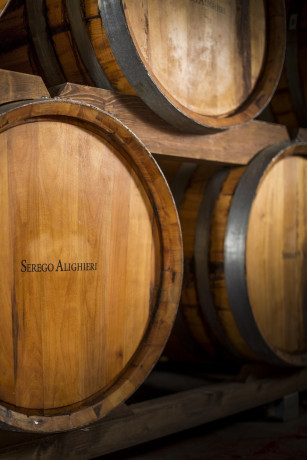 Masi Agricola, Vineyard Brands nuovo importatore esclusivo del marchio Serego Alighieri negli  Usa