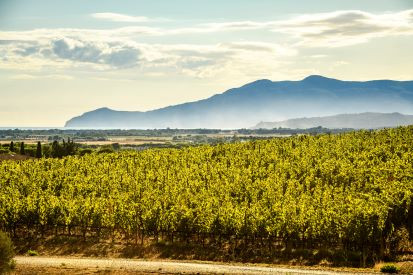 Al Monteverro 2018 i Tre Bicchieri di Gambero Rosso