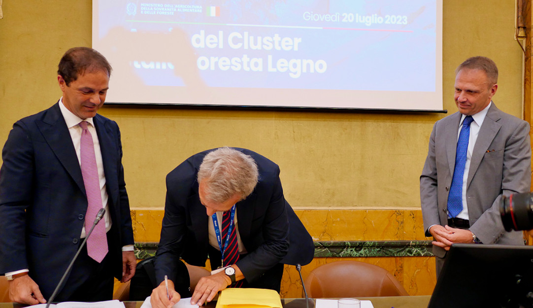 Nasce il primo cluster italiano del Legno