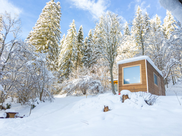 Una notte nella natura può rigenerare davvero: lo rivela uno studio italiano