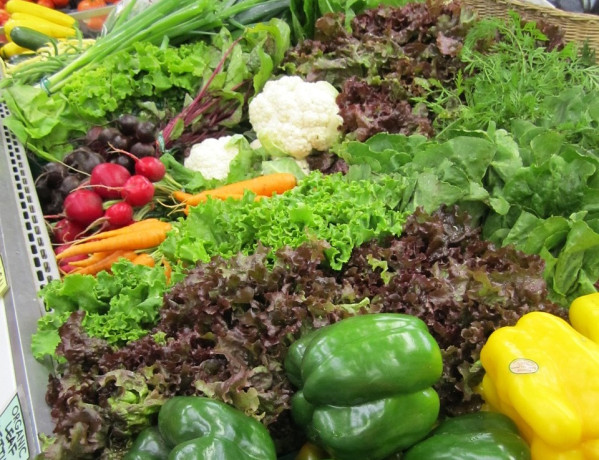 Apollo entra nel capitale di Prosol Group rilevando la quota da Ardian